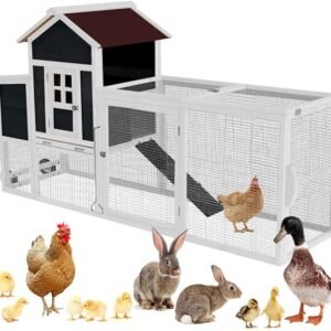 Wooden Chicken Coop with Wheels | 1–2 Chickens | Outdoor Hen House | Nesting Box | Wire Run | Black