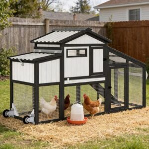 PetsCosset Chicken Coop & Run | Wheels | 2-Story Rabbit Hutch | Outdoor Small Animal Enclosure
