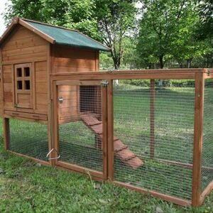 Outdoor Wooden Chicken Coop | 2–4 Chickens | Backyard Hen House with Nesting Box